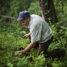 Parks & Projekte Guatemala