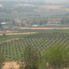 Parks & Projekte Israel