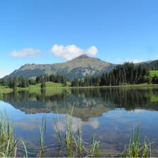 Parks & Projekte Lauenen